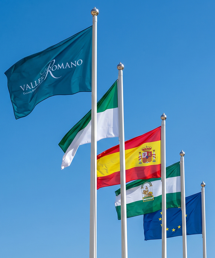 Banderas VDK — fabricación propia